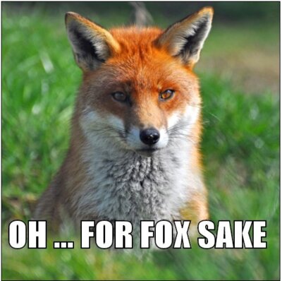 foxsake