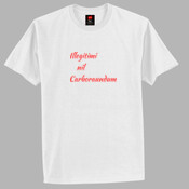 Illegitimi